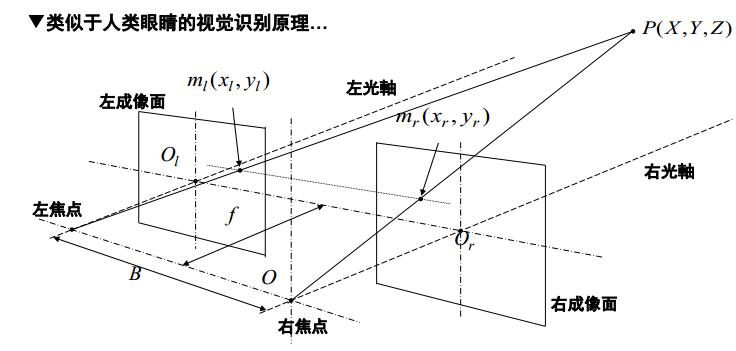 眼睛1.jpg